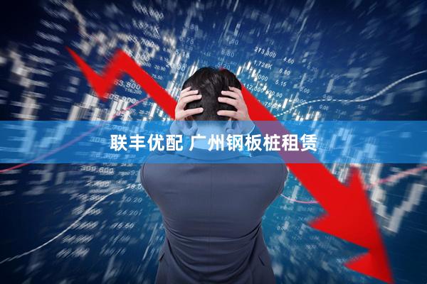 联丰优配 广州钢板桩租赁