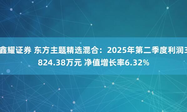 鑫耀证券 东方主题精选混合:2025年第二季度利润3824.38万元 净值增长率6.32%
